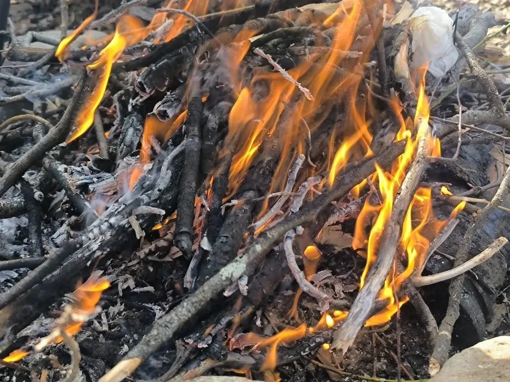 🔥 На Ямале официально начался пожароопасный сезон  С сегодняшнего дня на территории округа официальн