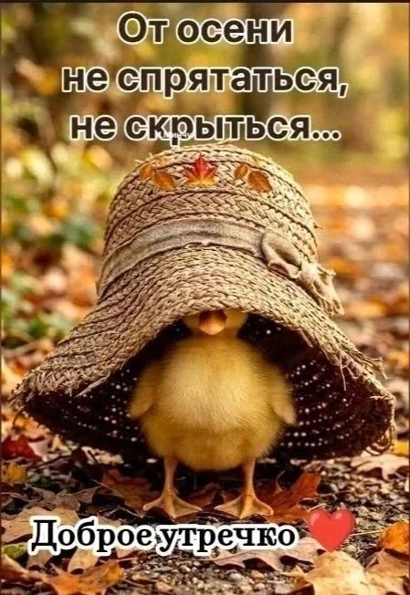 Открытки любимым 🌸🥰
