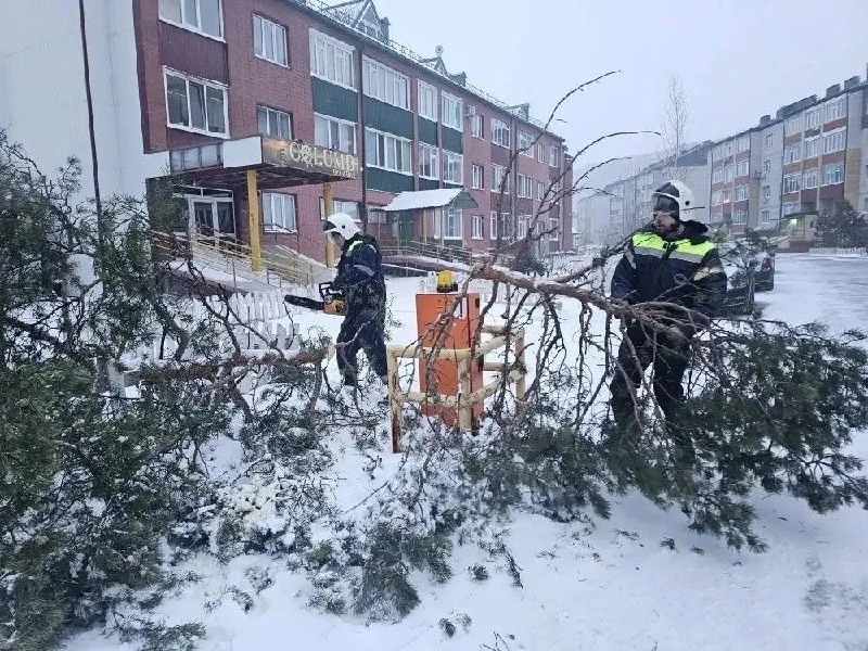 🚘 🌳 В Сургуте из-за сильного ветра деревья повалило на машины.  🚧 Аварийные службы продолжают бороть