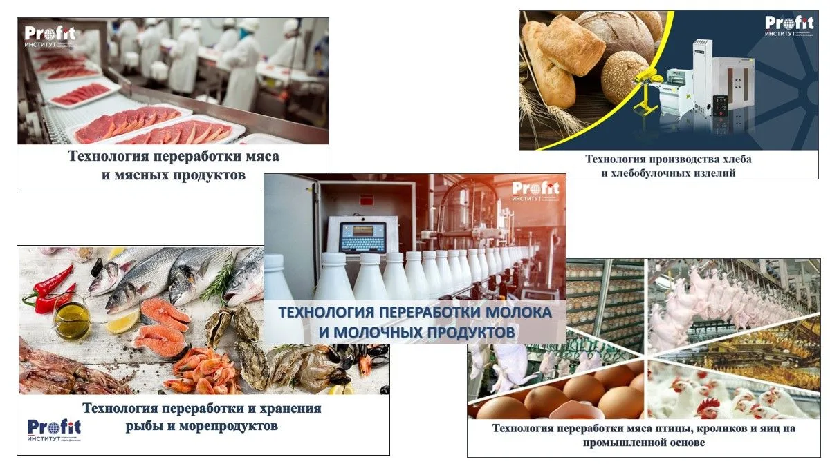 Институт повышения квалификации «ПРОФИТ» предлагает обучение по программам профессионал...