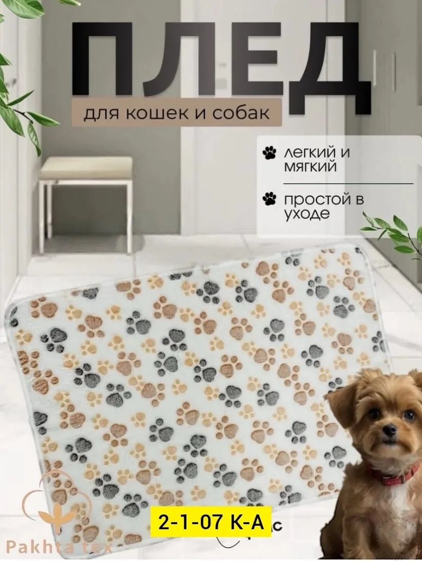 https://vk.com/photo-184814919_493017288