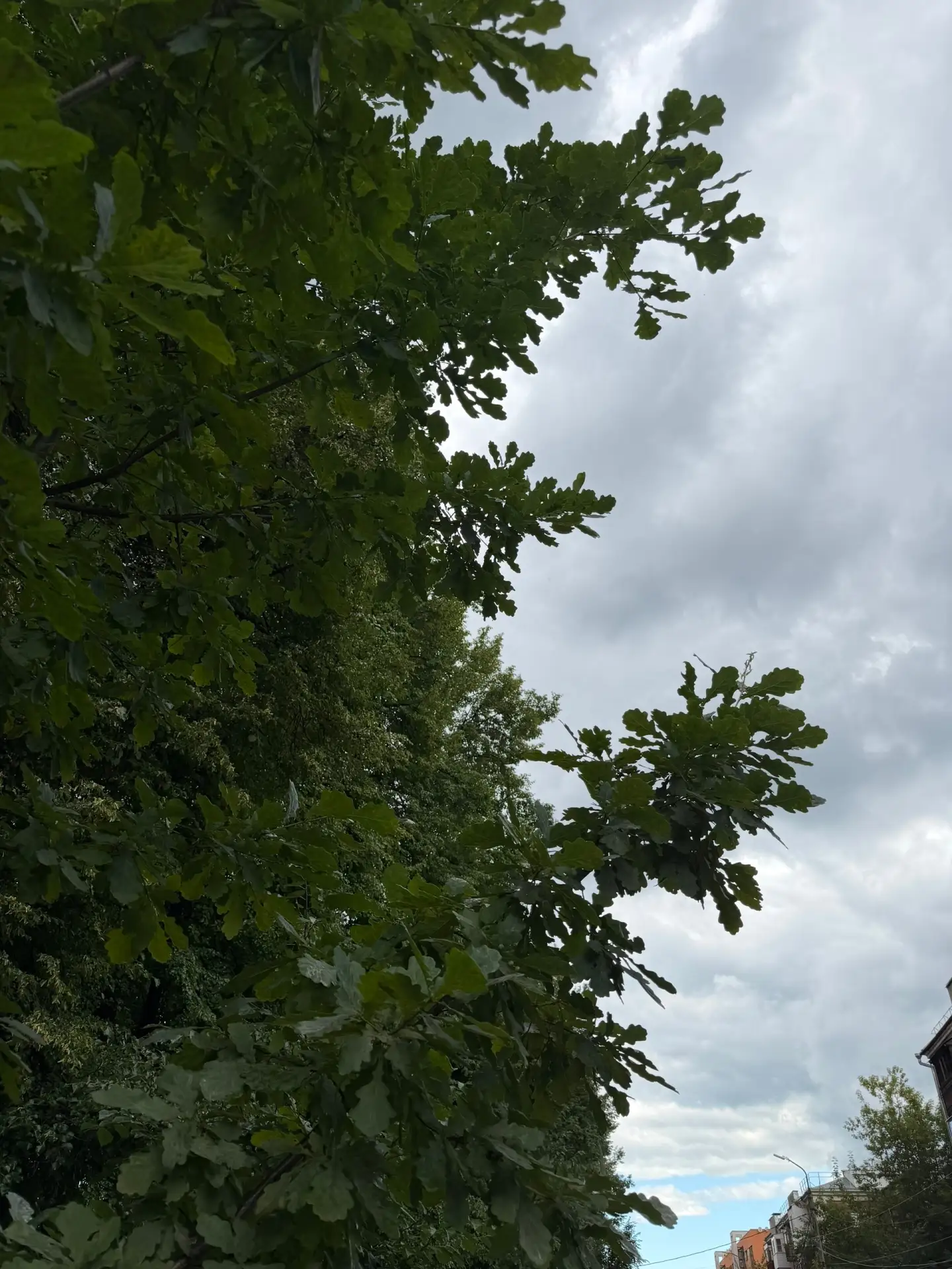 Кажется дождь собирается.. ☔️