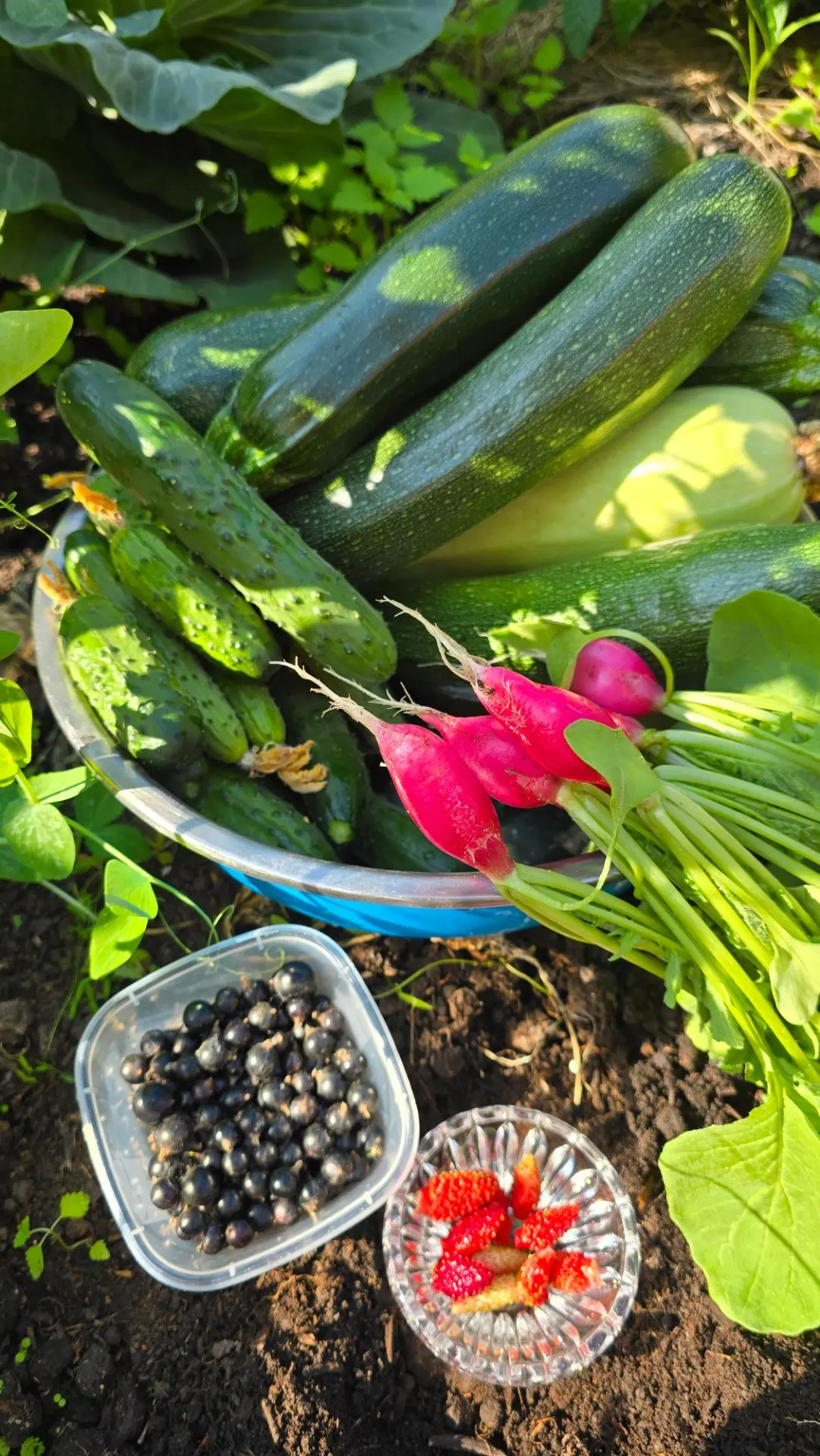 Доброе утро 🌼