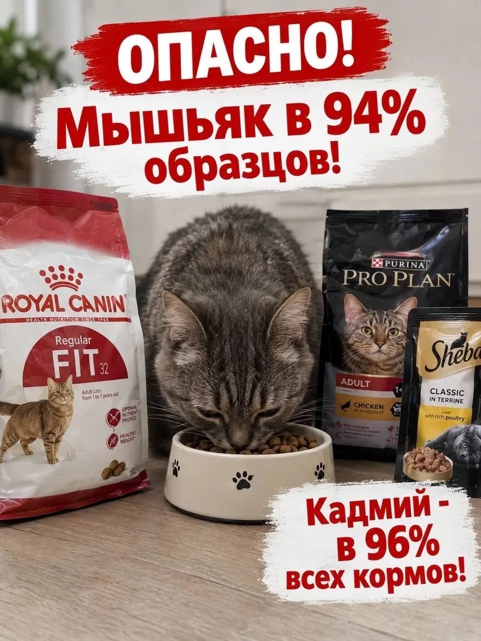 https://max.ru/channel_dtpkostroma