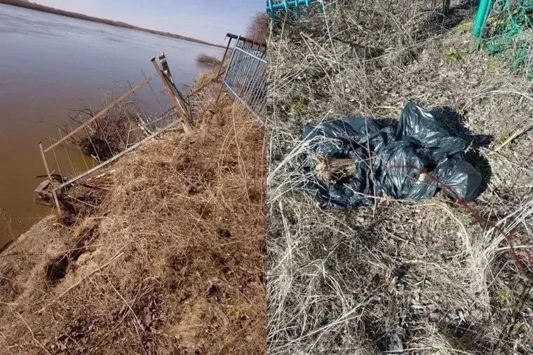Добрый день!