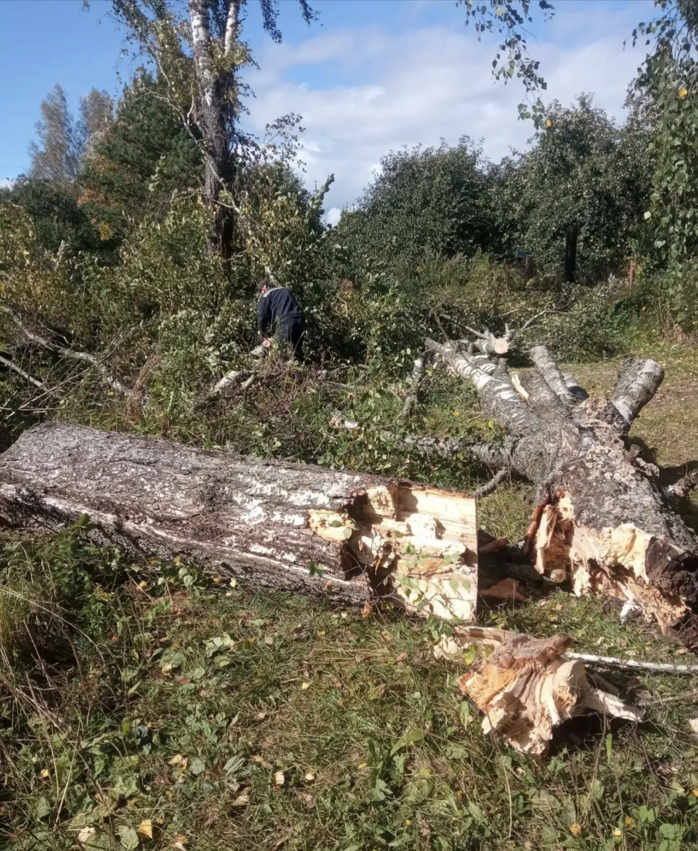 Устраняем последствия непогоды в Вяземском округе ⛈️🌪️