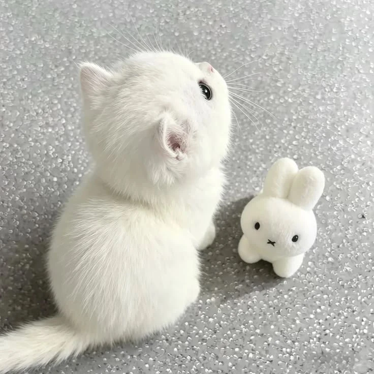 🌸 Светлый вайб