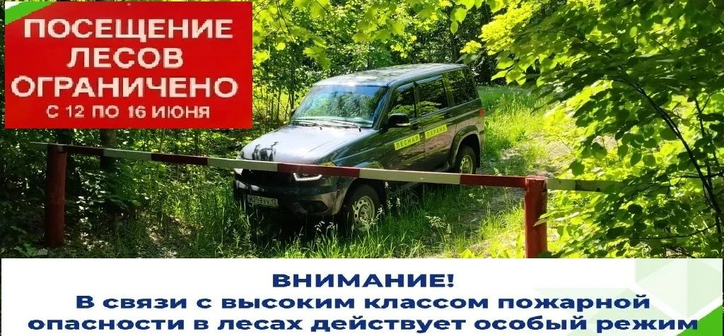 С 12 по 16 июня 2026 года посещение лесов ограничено. Категорически запрещается:
⁣
❌Входить в лес.
❌