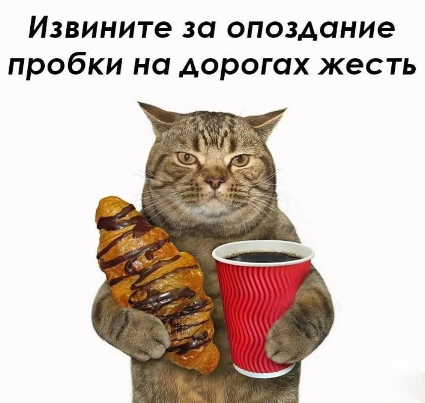 ⏰ День опозданий отмечается сегодня