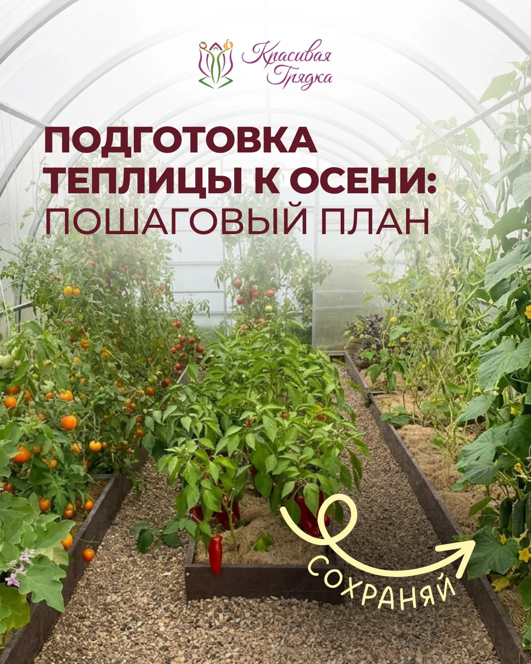 🌿 Подготовка теплицы к осени: пошаговый план