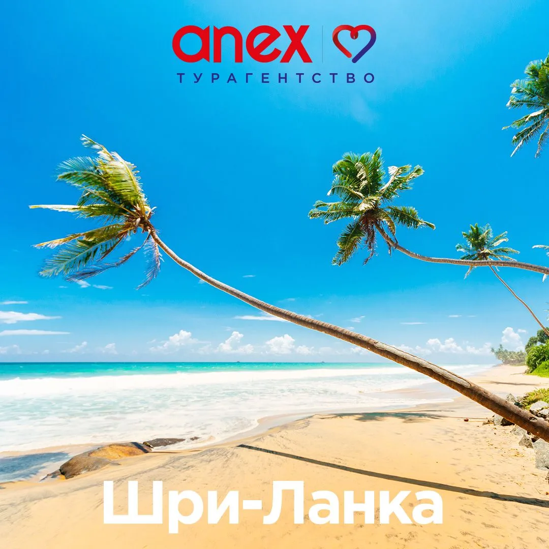 🚂 Представьте: поезд неспешно едет по горам, за окном тянутся изумрудные чайные планта...