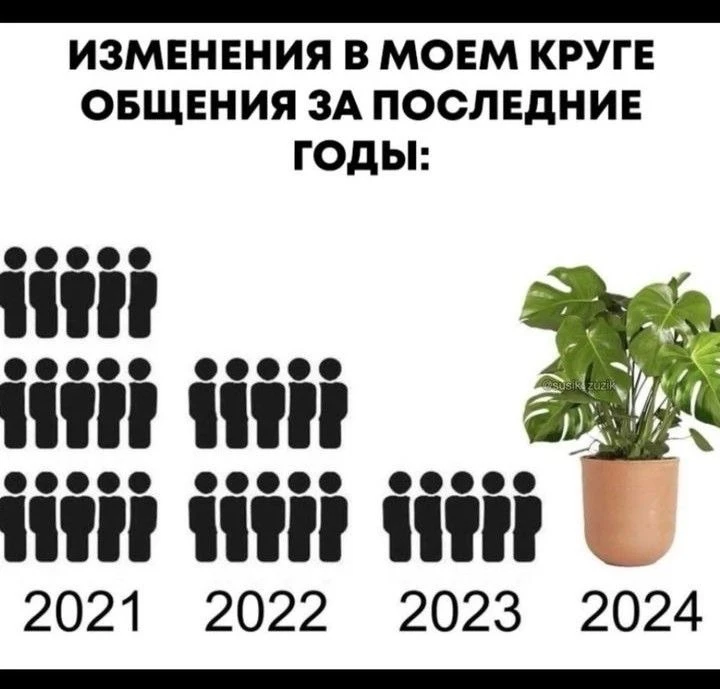 Всего 3 компонента и у вас густая хвоя 🌲