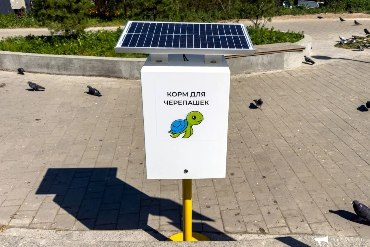 🐢Каждый желающий теперь может покормить черепашек на озере на Сафонова во Владивостоке