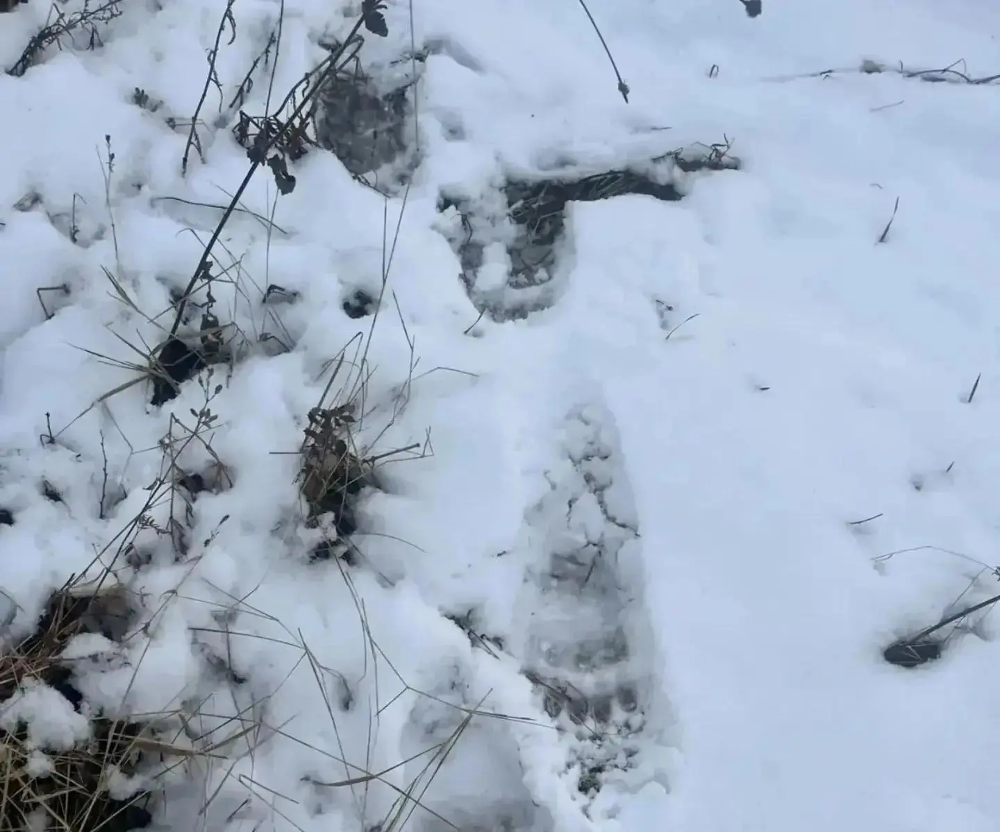 Забайкальский край.