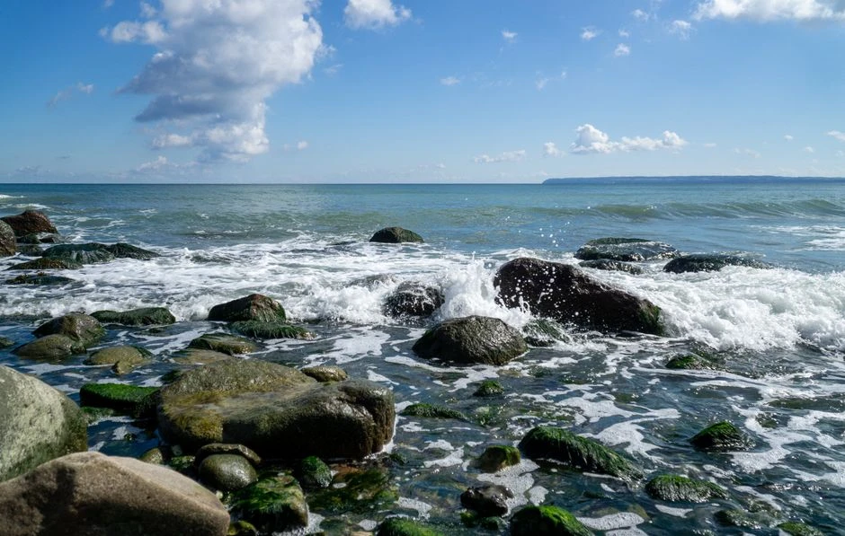 🌊 Калининградская область превратилась в маленькое Сочи!