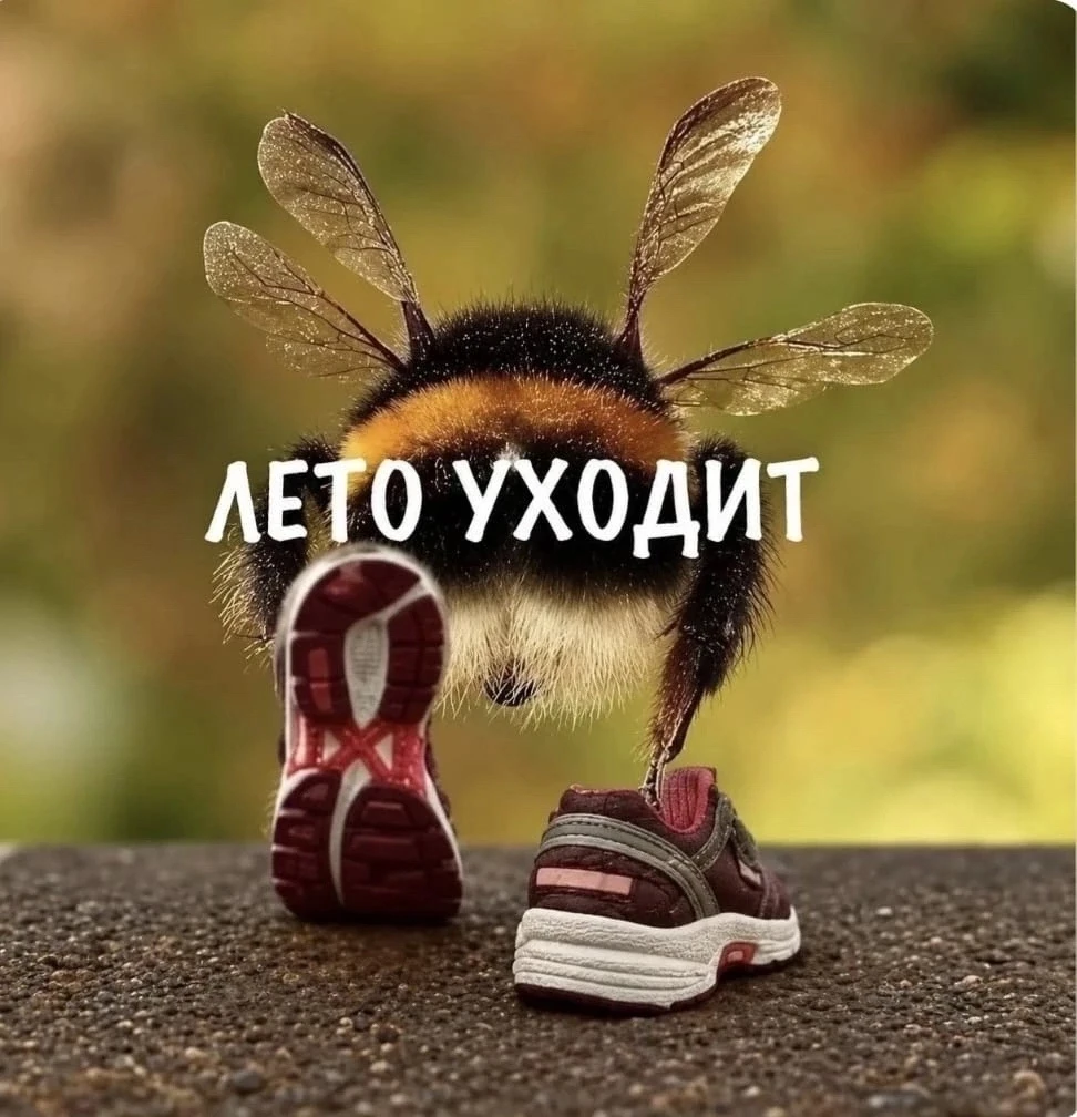 🌞 Лето уходит... А МЫ остаёмся !🙌😊