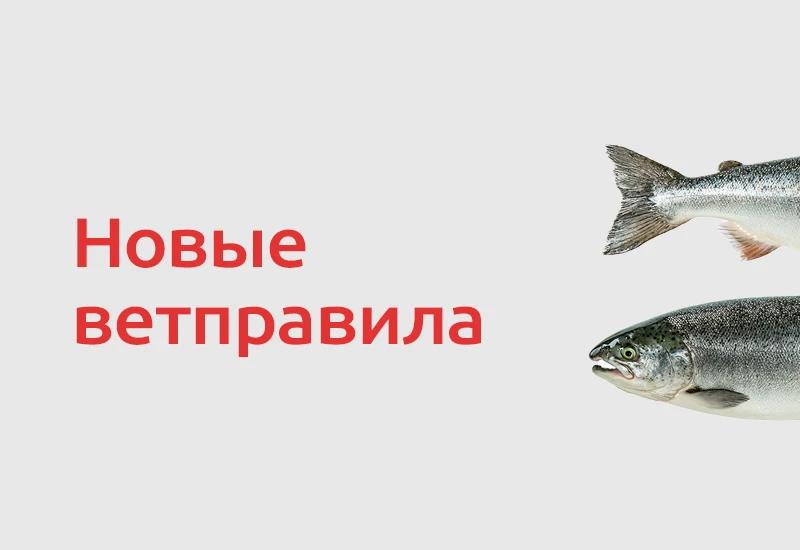 🐟 Минсельхоз России подготовил новые ветеринарные правила для лососевых, карповых и сиговых рыб. До