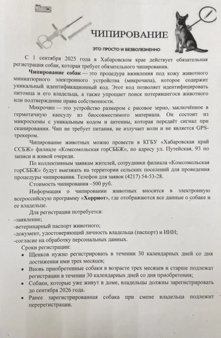 Медиа публикации