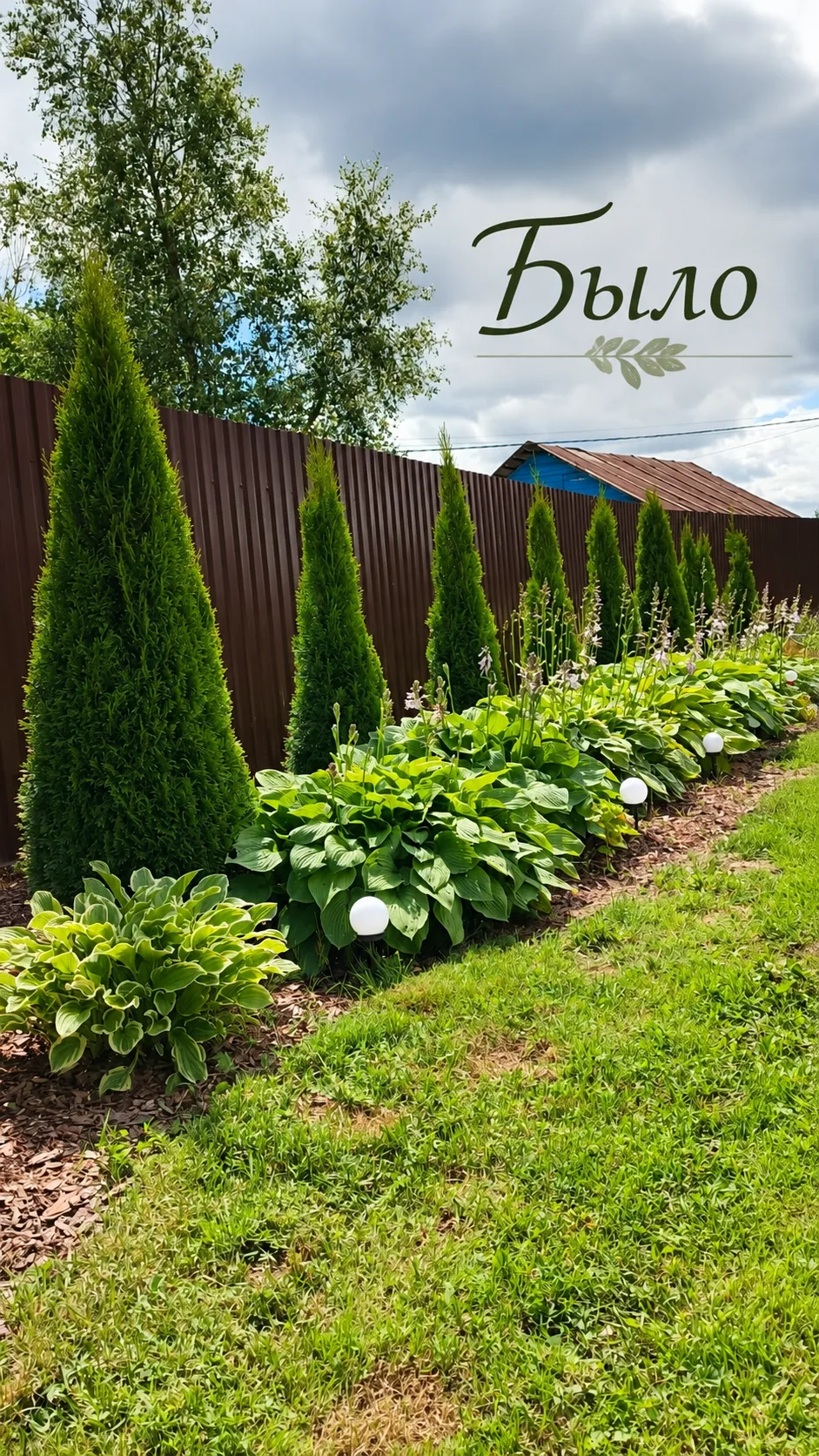 🌿 Хосты осенью: обрезать или оставить? 🌿