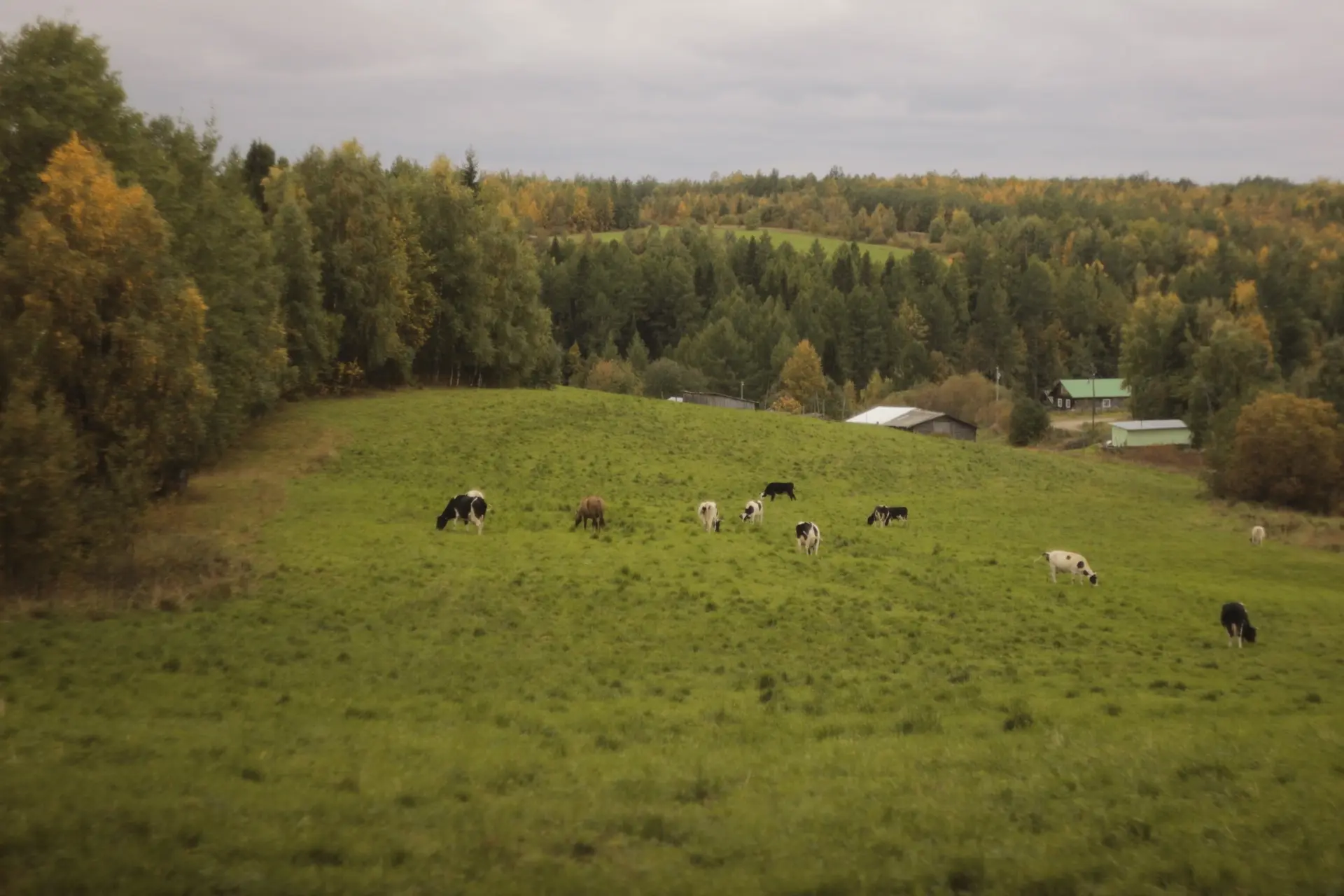 Настоящие деревенские пейзажи в Гаме Ижемского района 🏡