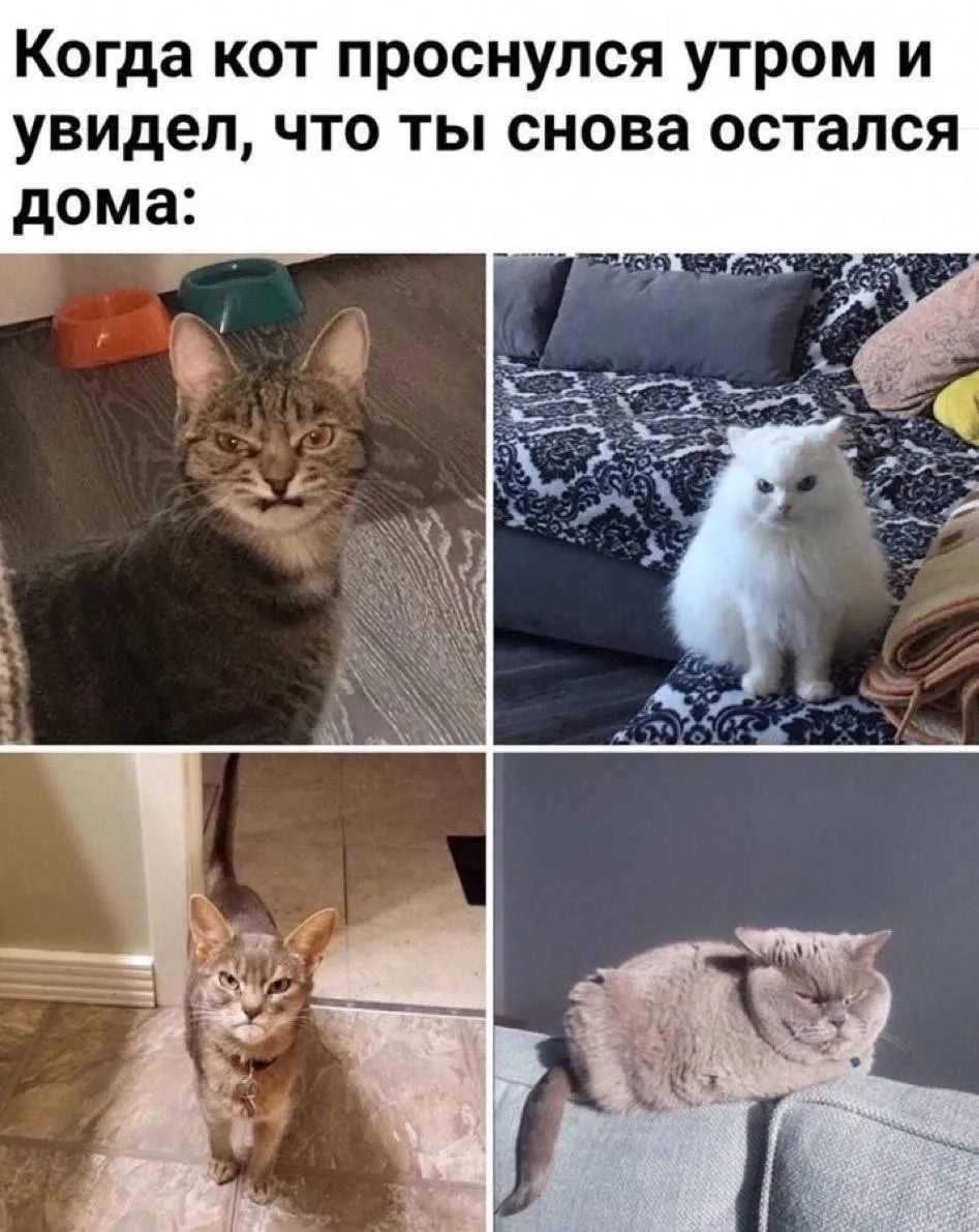 С добрым утречком, махарошие🥰