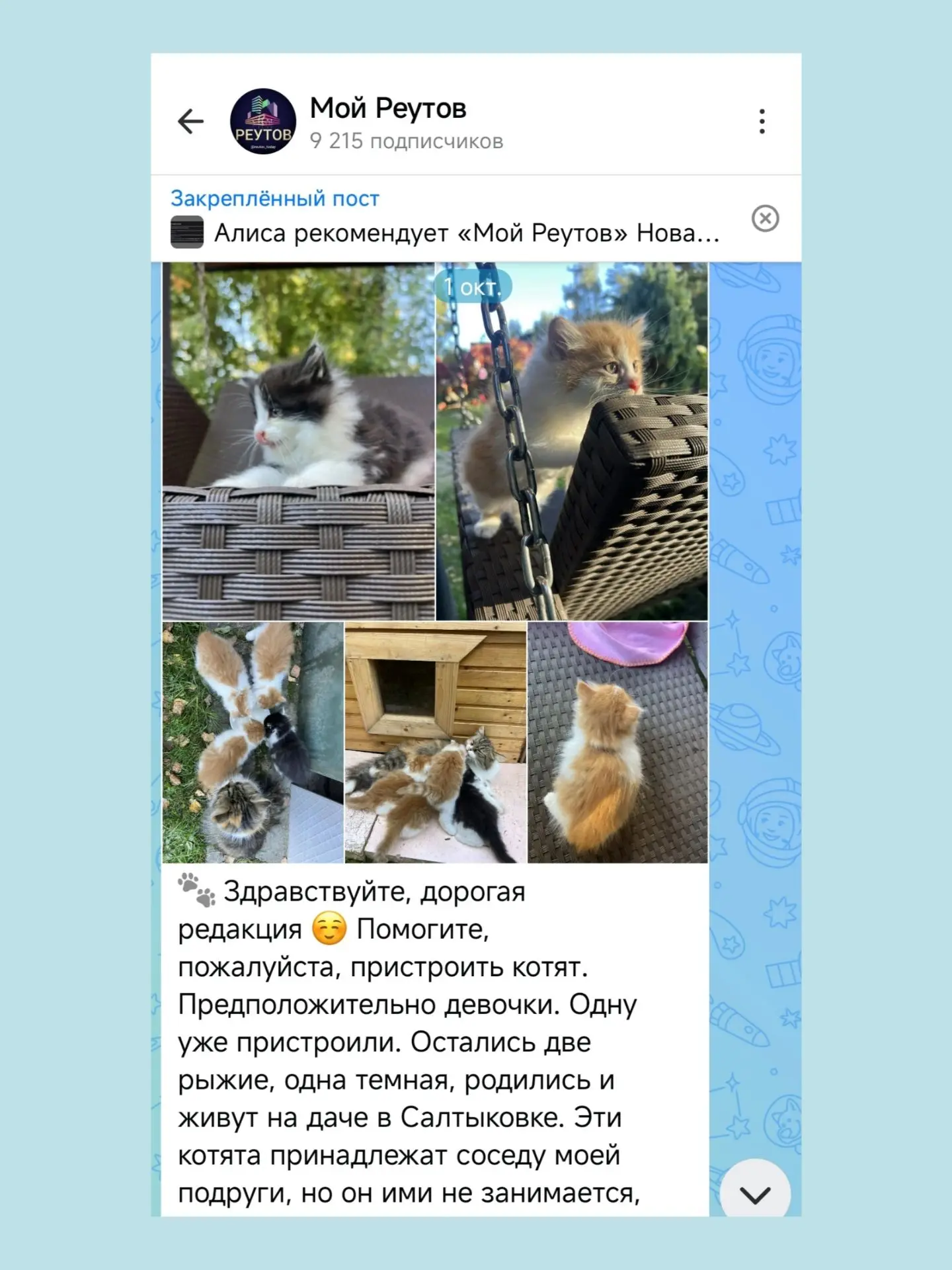 🐾 Здравствуйте, дорогая редакция!