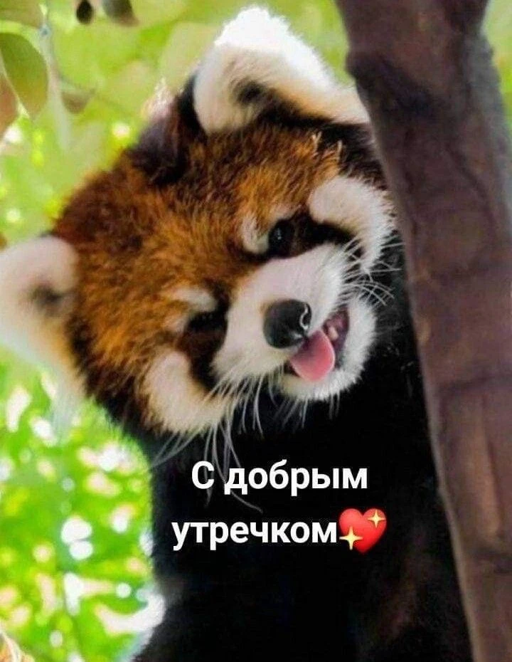 КРАСИВЫЕ ОТКРЫТКИ ТУТ💖