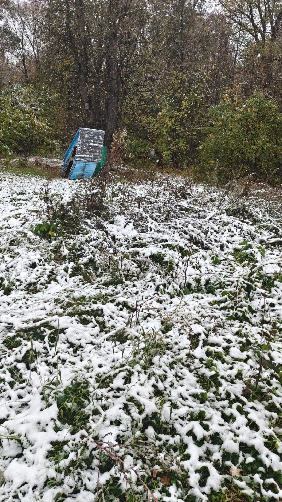 ❄️ А ЗИМА-ТО УЖЕ СТУЧИТСЯ В ДВЕРЬ!