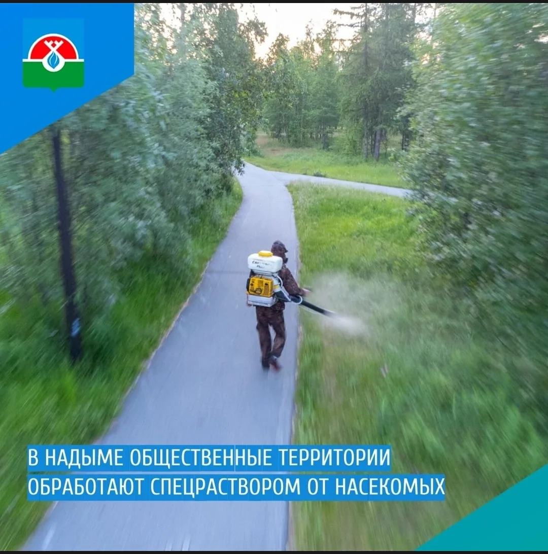 📍 В Надыме общественные территории обработают спецраствором от насекомых

Подрядчик приступит к раб