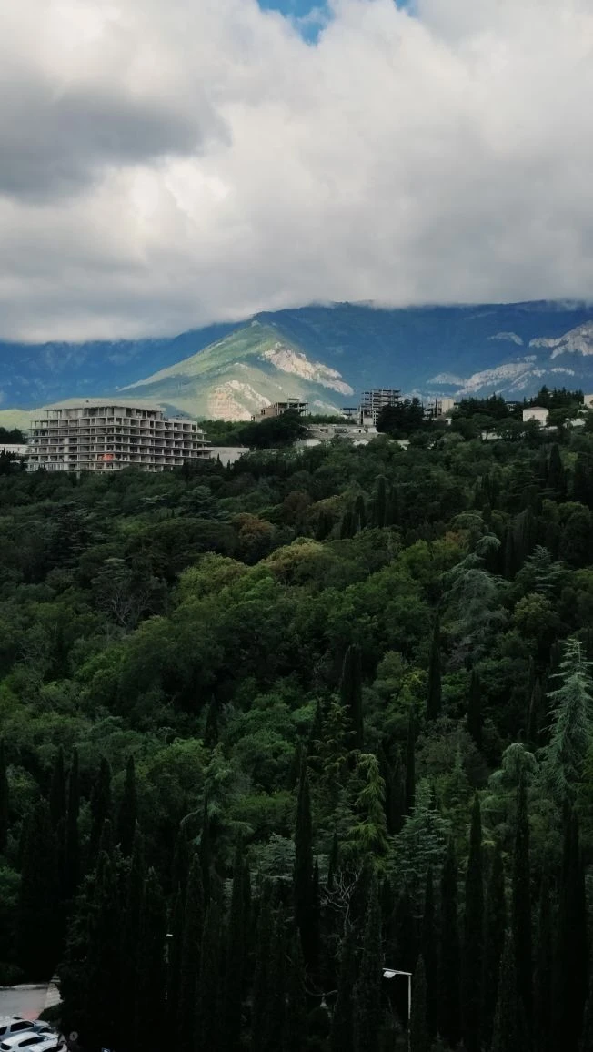 Доброе крымское утро!🩷