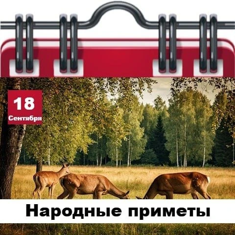 Народные приметы 18 сентября