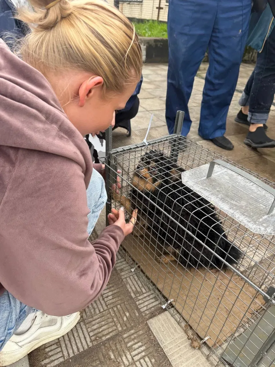 ЧУДО СЛУЧИЛОСЬ ❤️ 🐾
