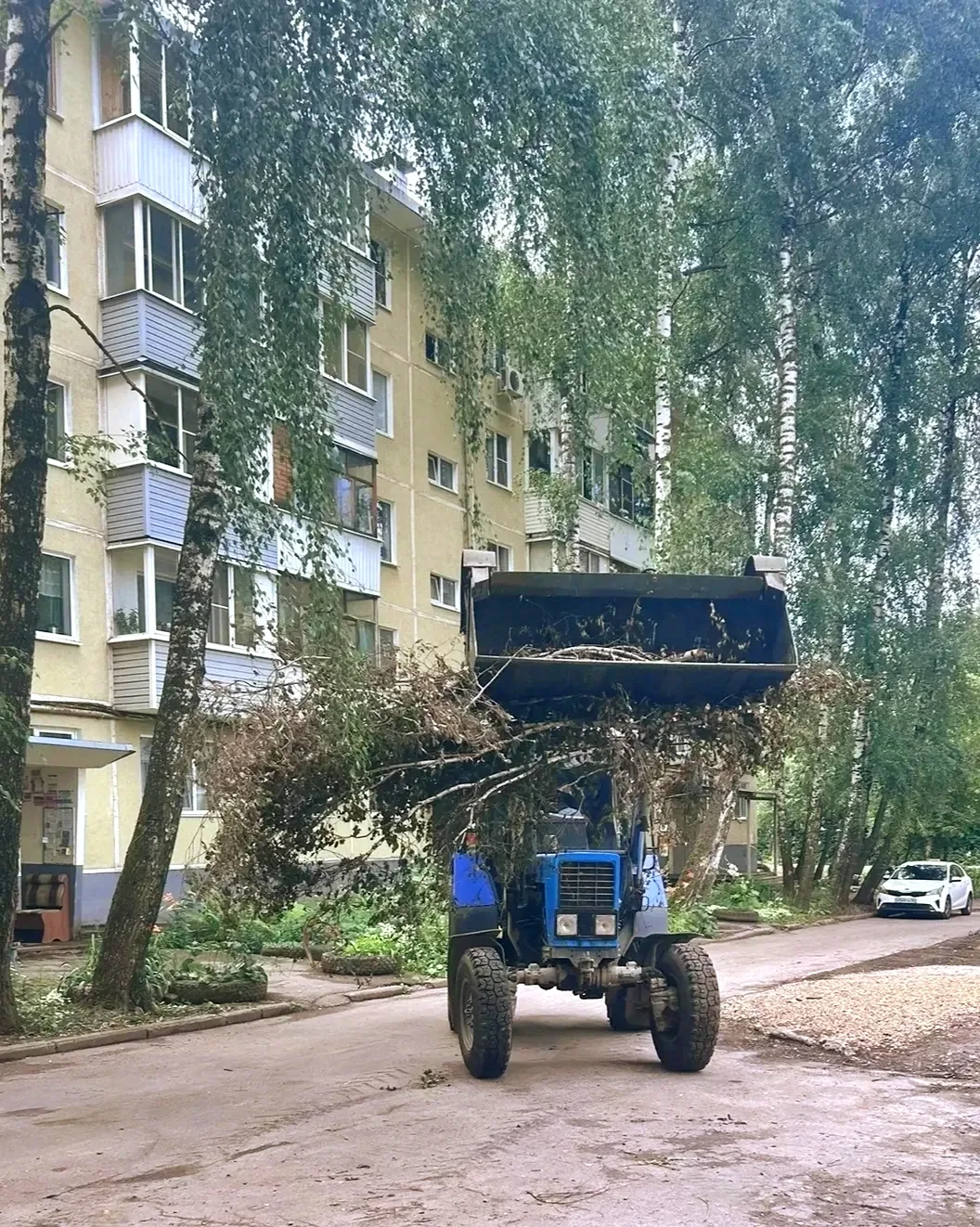 Провели работы по уборке и вывозу сухих веток на придомовой территории по адресу: