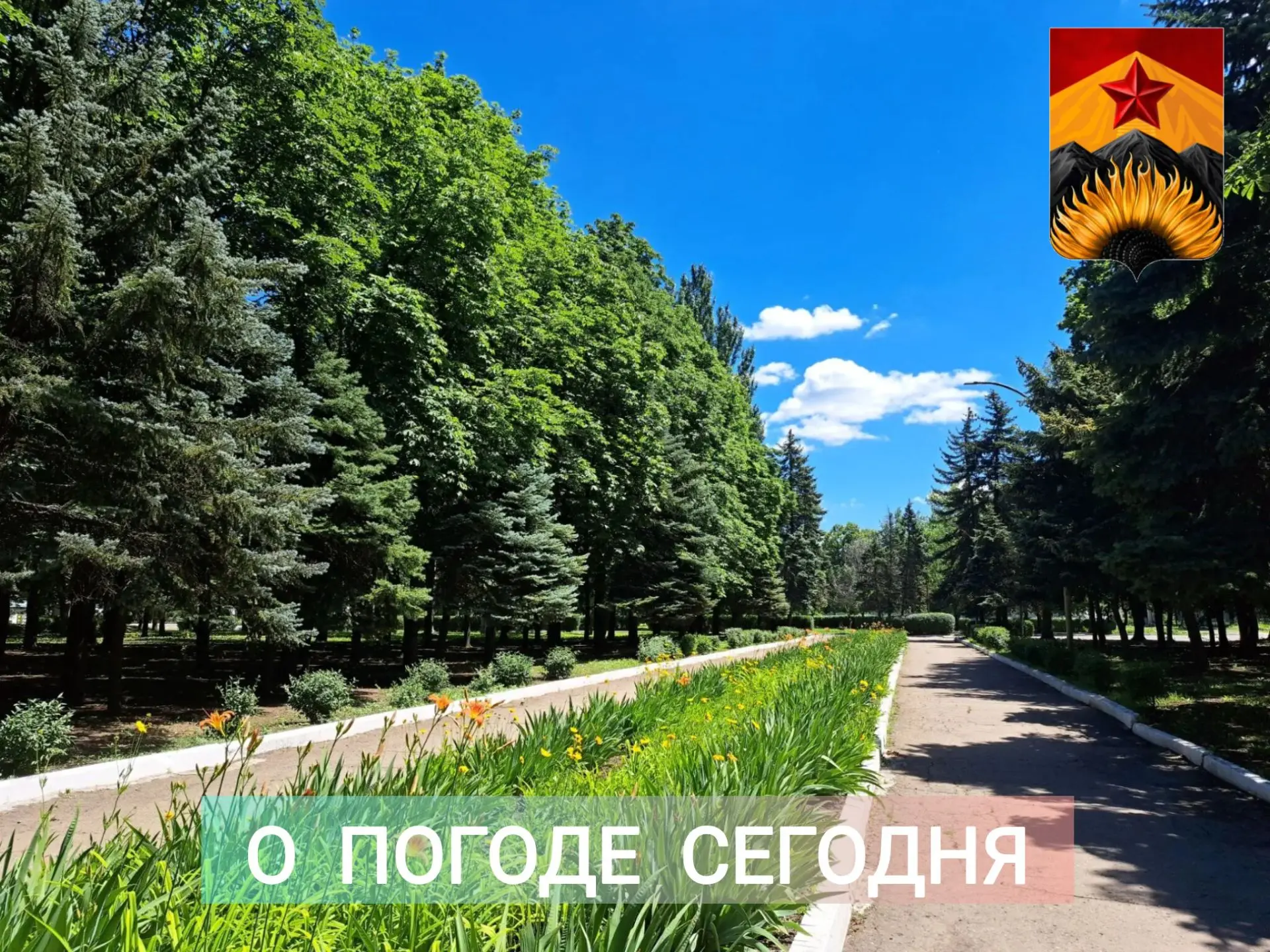 Гидрометцентр сообщил о погоде в Шахтерском округе

📆 22 июня в Республике переменная облачность, б