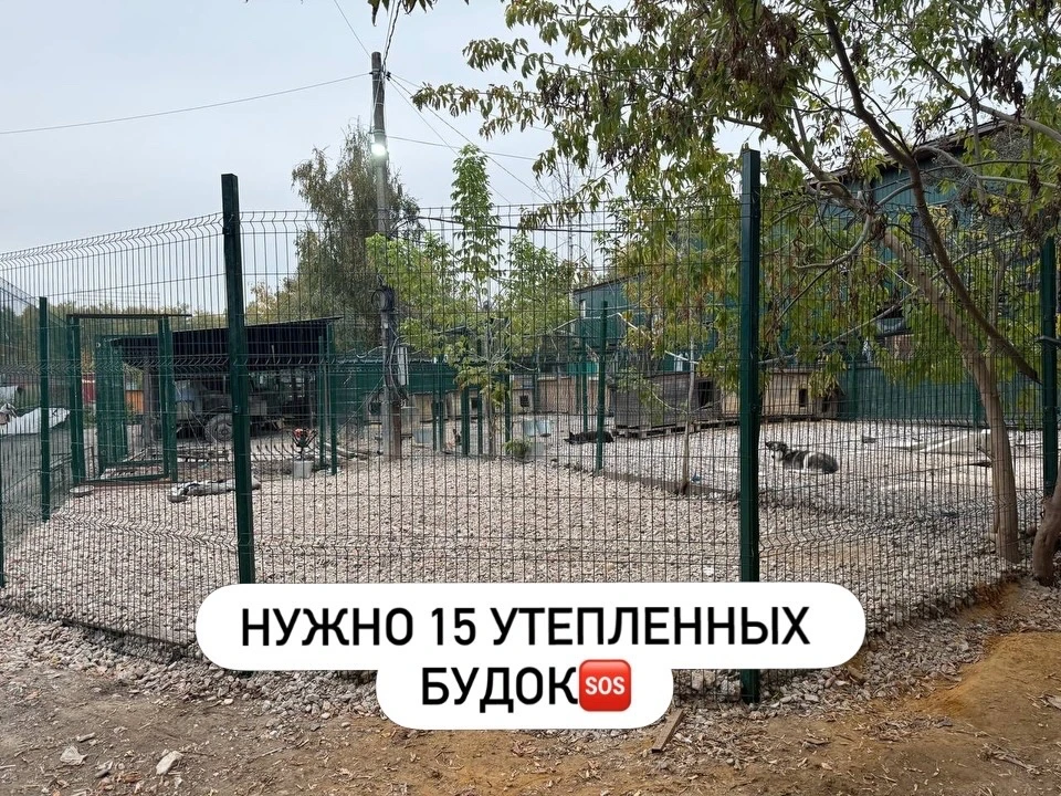284 000₽ нужно на 15 теплых домиков для собак🆘