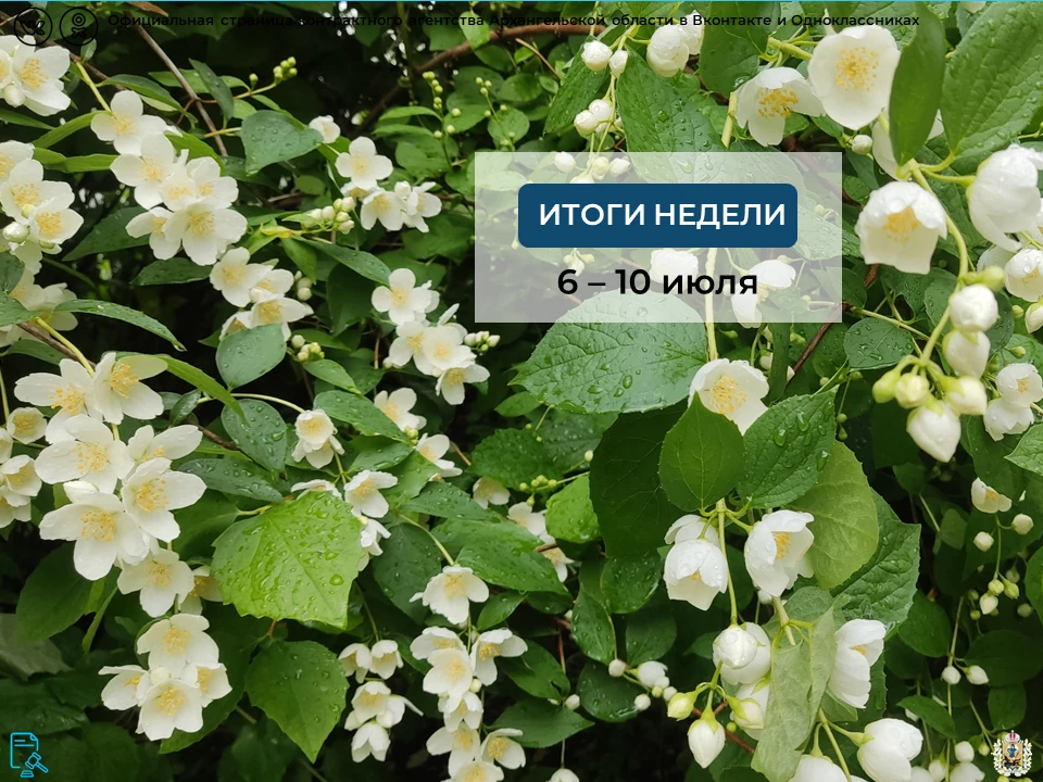 Утверждены дополнительные требования к участникам закупки при закупке проектных работ и...