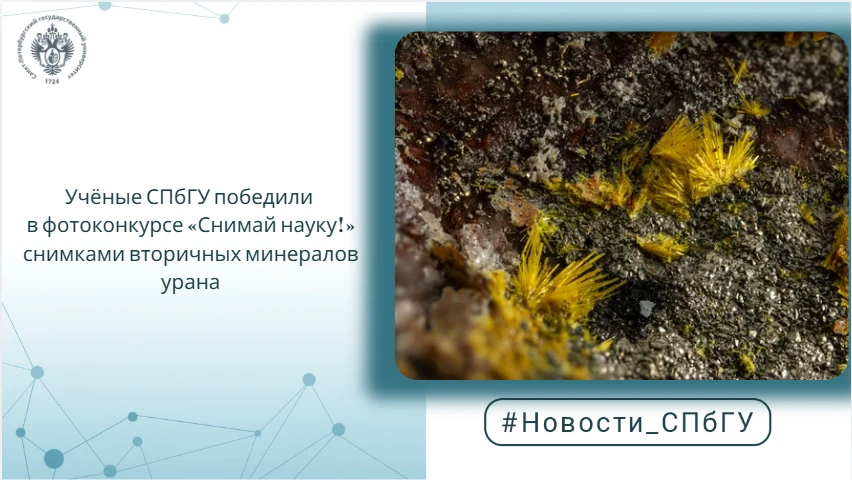 Учёные СПбГУ победили в фотоконкурсе «Снимай науку!» снимками вторичных минералов урана