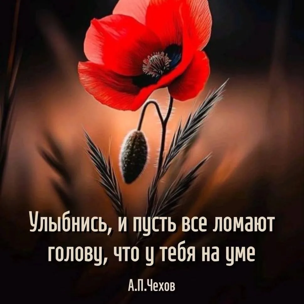 🎯 Мудрость народная ☀️