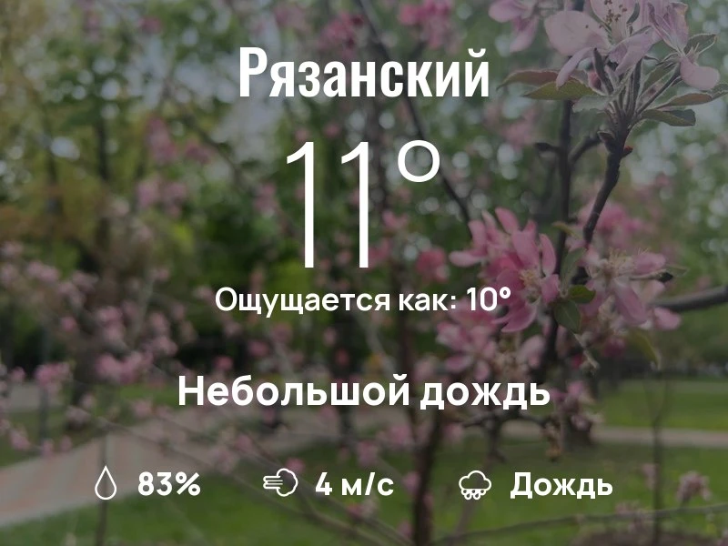 Что с погодой в Рязанском?