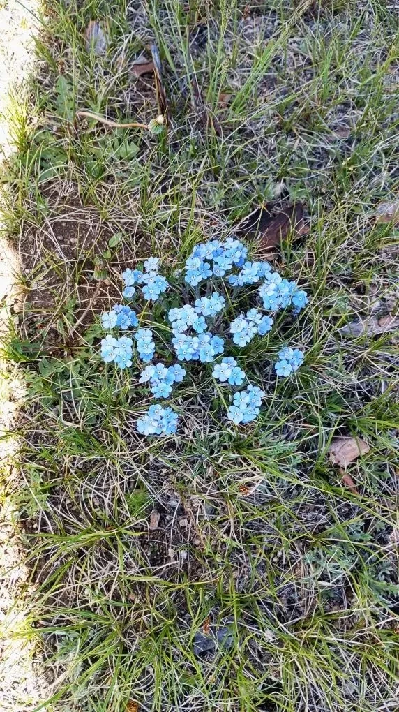 Отправила
Анна

🙋‍♂️Земляки

Присылайте 📸 

любимых мест
— где вы живёте
— отдыхаете
— побывали
⬇️