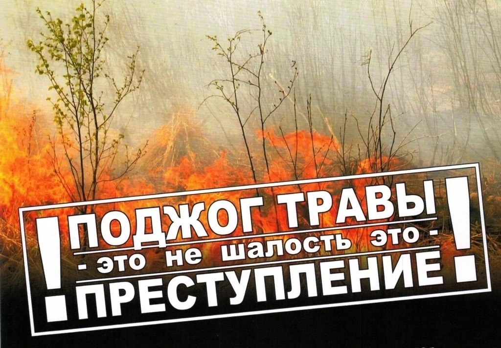 ❗️Пал травы - угроза жизни!