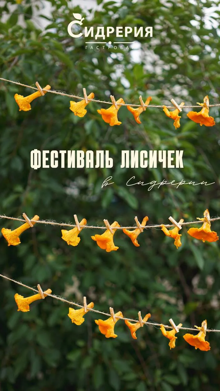 Любите грибы лисички? Если да, то вам понравится наша новая подборка, ведь мы собрали разные сезонны
