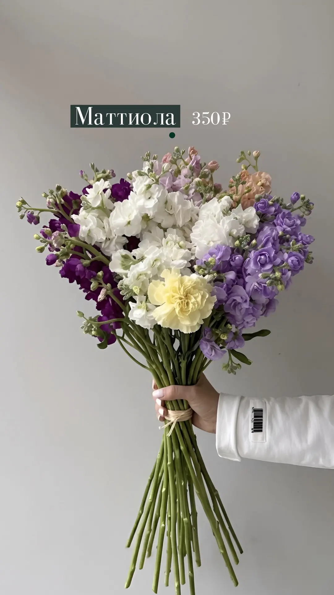 Привезли кое-что красивое 😍

▫️ Маттиола — нежная, ароматная, в самых красивых оттенках
▫️ Гортензи