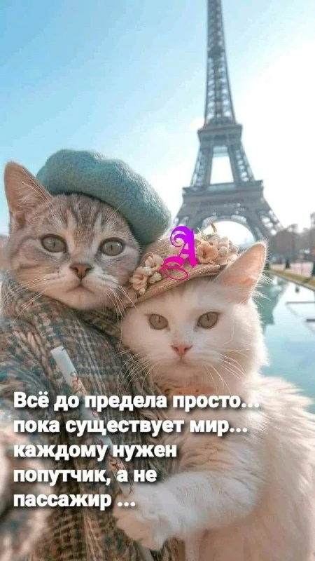 🌹Открытки для любимых