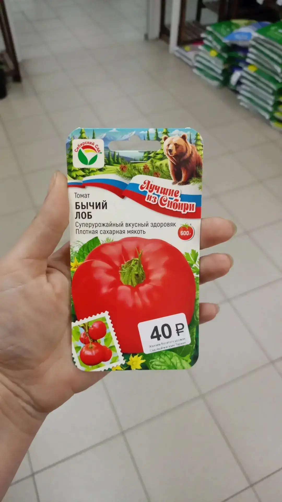 «Термит»: Томат «Бычий лоб» — суперурожайный сибирский богатырь! 🍅💪
