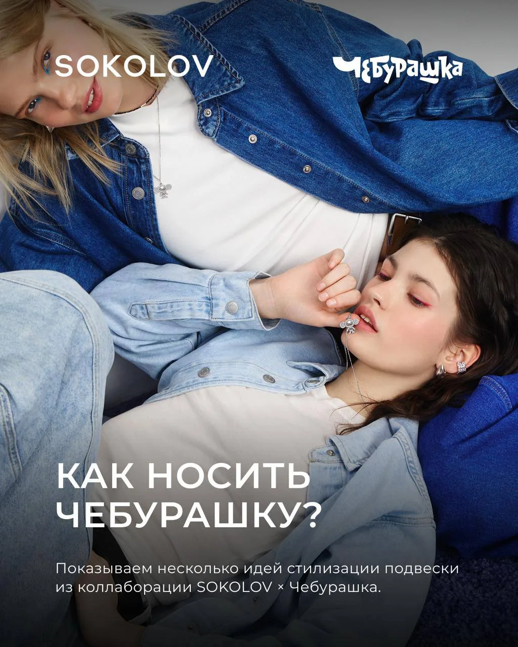 Чебурашка выходит в свет 🤎