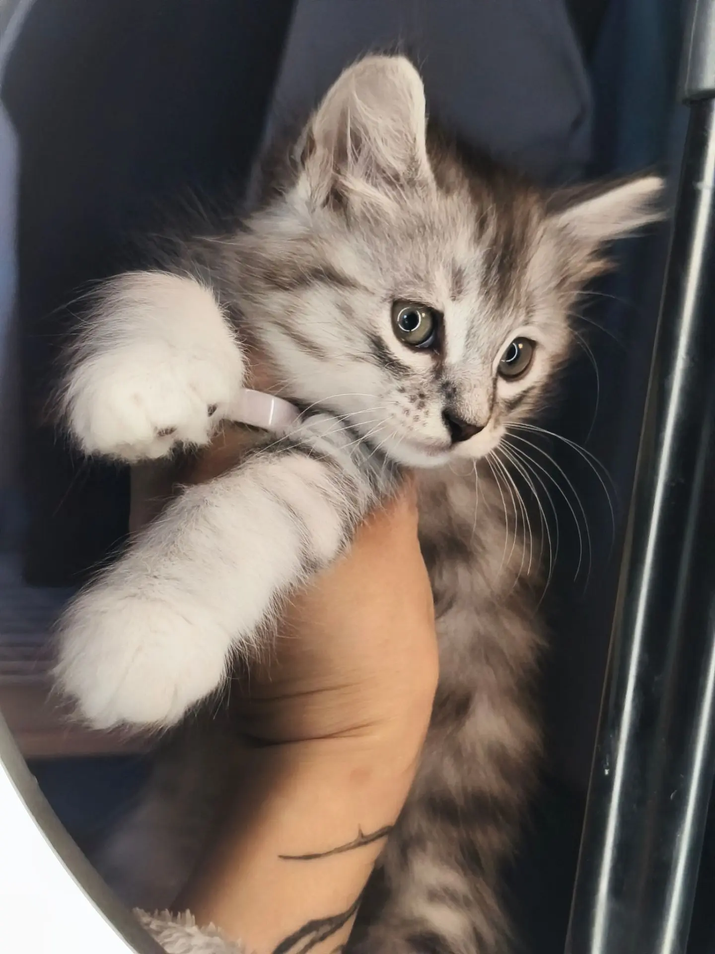 Растем, веселимся. Дети, с которыми не трудно со всеми вместе🐾 И так тоже бывает, перв...