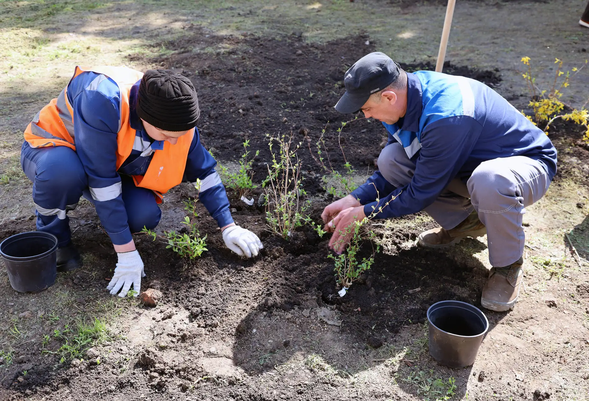 Золотая аллея славы: как Ростовводоканал встретил День древонасаждения 🌼🌱  Верный многолетней доброй