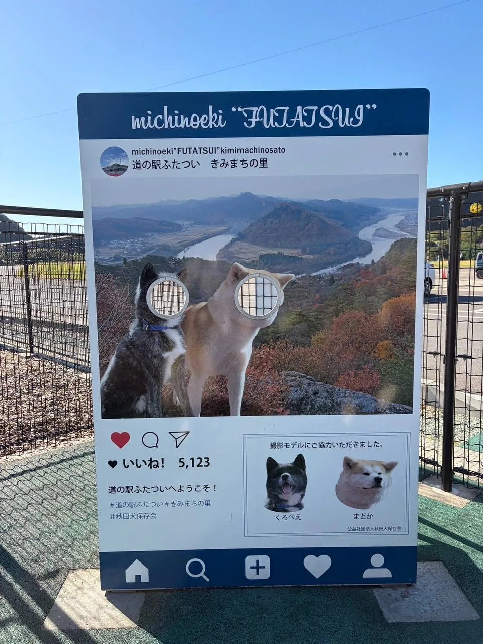 А это тантамареска, фотостенд для собак на придорожной станции Futatsui в префектуре Ак...