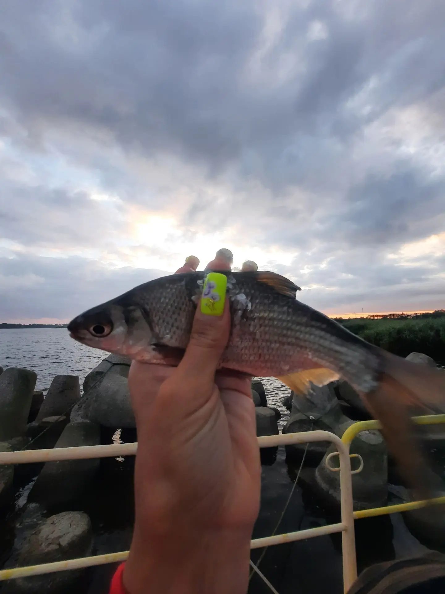 После дождика💦💦💦немного радости  и кайфа🤗🐠🐟🐠чудо юдо какое то попалось.И закат как всегда шик